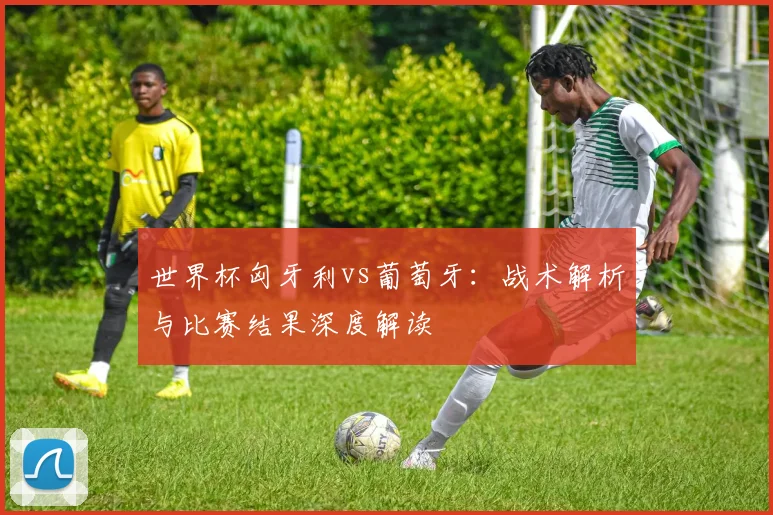 世界杯匈牙利vs葡萄牙：战术解析与比赛结果深度解读