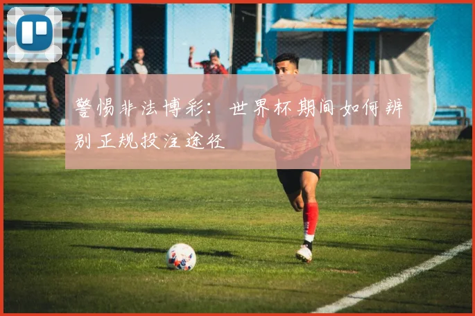 警惕非法博彩：世界杯期间如何辨别正规投注途径